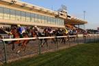 Today’s Wolverhampton Betting Odds Online Today’s Wolverhampton Betting Odds Online