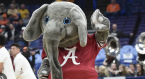 Alabama Payout Odds to Win the 2023 NCAA Tournament - Sweet 16