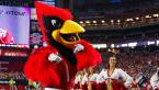Cards Fall to Sixth in SB Odds and More QB Benchings Cards Fall to Sixth in SB Odds and More QB Benchings