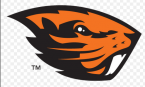 Bookmaker, BetOnline Move Beavers to -8