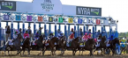 The betting and sports world received a tremendous boost with news Tuesday that the Belmont Stakes will be raced June 20 at a shorter distance and without fans.