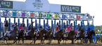 Early 2021 Belmont Stakes Odds Shows 4-Way Tie for Favorite