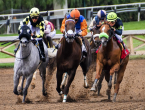 5 Wagering Tips To Follow For The Belmont Stakes 2022
