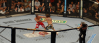What Are The Best Websites For UFC Betting? What Are The Best Websites For UFC Betting?