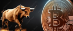 Bitcoin Bulls***: BetOnline Refunding Bitcoin Network Fees