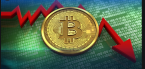 Bitcoin Slips Below $50k After Musk Says Tesla Won’t Take It Bitcoin Slips Below $50k After Musk Says Tesla Won’t Take It