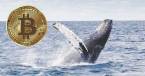 Bitcoin Whale Suggests BTC Price Will Crash,The Up, $8.8 Trillion in Crypto Traded Q1