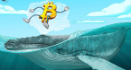 Bitcoin "Whales" Jump Back Into Market
