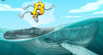 Bitcoin "Whales" Jump Back Into Market Bitcoin "Whales" Jump Back Into Market
