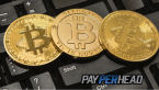 How Do Online Bookies Switch Their Bettors to Bitcoin?