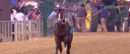 Bodexpress Runs Preakness Without a Jockey but Declared 'Did Not Finish' - No Refunds