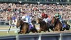 Betting on Favorites at the Breeders Cup