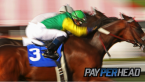 Pay Per Head Preview: The Breeders Cup Top 3 Horses To Leverage Pay Per Head Preview: The Breeders Cup Top 3 Horses To Leverage