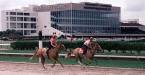 Calder Race Course Clashes Horse Industry Over Slot Machines