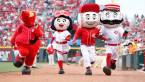 BetMGM Becomes Official Betting Partner of the Cincinnati Reds