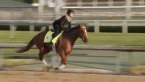 Country House, Cutting Humor, Haikal Kentucky Derby Payout Odds Country House, Cutting Humor, Haikal Kentucky Derby Payout Odds