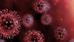 The Coronavirus Could Lead More States To OK Sports Betting And Internet Gambling The Coronavirus Could Lead More States To OK Sports Betting And Internet Gambling