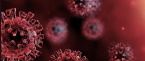 Report: Rutgers Football COVID-19 Outbreak Linked to On-Campus Party Report: Rutgers Football COVID-19 Outbreak Linked to On-Campus Party