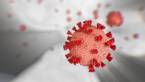 Will Online Casinos Continue to Grow in Post Pandemic