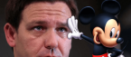 New Poll Shows Trump Annihilating DeSantis as Mickey Mouse Goes to War With Gov Too 