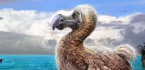 Could PointsBet Go the Way of Fubo Gambling (or the Dodo Bird)? 