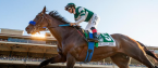 2022 Breeders Cup Classic Payout Odds Have Flightline Favored
