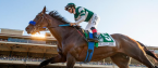 2022 Breeders Cup Classic Payout Odds Have Flightline Favored 2022 Breeders Cup Classic Payout Odds Have Flightline Favored