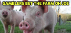 Gamblers Bet the Farm on Joe Gamblers Bet the Farm on Joe
