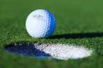 Pay Per Head US Open Golf Futures 2017 Pay Per Head US Open Golf Futures 2017