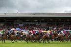 A Great View Odds to Win Punchestown 18:05 - Horse Racing