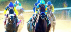 Bet on Whether There Will Be a Triple Crown Winner in 2016 