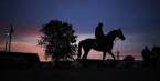 Where Can I Bet the Belmont Stakes Online From South Carolina? Where Can I Bet the Belmont Stakes Online From South Carolina?