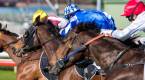 2017 Invest City Of Wolverhampton Handicap Betting Odds