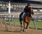 Can I Bet the Belmont Stakes Online From Connecticut, Rhode Island? Can I Bet the Belmont Stakes Online From Connecticut, Rhode Island?