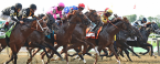 Louisiana Derby Payout Odds -2021 Louisiana Derby Payout Odds -2021