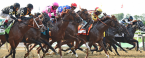 What Are The Payout Odds - Zozos to Win Louisiana Derby