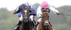 2017 King Edward VII Stakes Betting Odds – Royal Ascot Friday 2017 King Edward VII Stakes Betting Odds – Royal Ascot Friday
