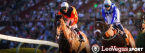 Kentucky Derby Online Betting Data Improvements at LeoVegas