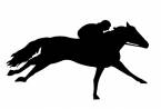 Can I Bet the Kentucky Derby from Hollywood Gaming in Ohio? Can I Bet the Kentucky Derby from Hollywood Gaming in Ohio?