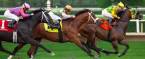 The Biggest Horse Racing Events in The World 