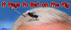 The Fly Returns and What Will Biden Say First Odds