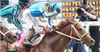 Mage Payout Odds of Winning the Preakness Stakes Likely Between 5-2 and 4-1