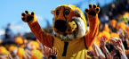 What Are the Regular Season Wins Total Odds for the Missouri Tigers - 2022?