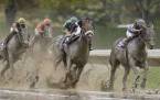 2018 Breeders Cup Classic Mudders