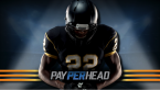 Should Online Bookies Be Paying Attention To NFL Betting Now? Should Online Bookies Be Paying Attention To NFL Betting Now?