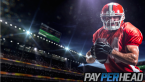 Online Bookies Follow These 4 Steps to Get a Premium Software at $3 Per Head Online Bookies Follow These 4 Steps to Get a Premium Software at $3 Per Head