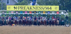 2021 Preakness Stakes Overnight Betting Odds