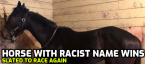 Horse With Racist Name Raises Eye Brows, Trainer Banned Horse With Racist Name Raises Eye Brows, Trainer Banned
