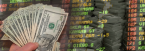 How One Pay Per Head Firm Views the New Look American Sports Betting Market How One Pay Per Head Firm Views the New Look American Sports Betting Market