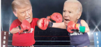 Biden vs. Trump Boxing Odds?